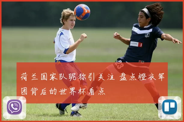 荷兰国家队昵称引关注 盘点橙衣军团背后的世界杯看点
