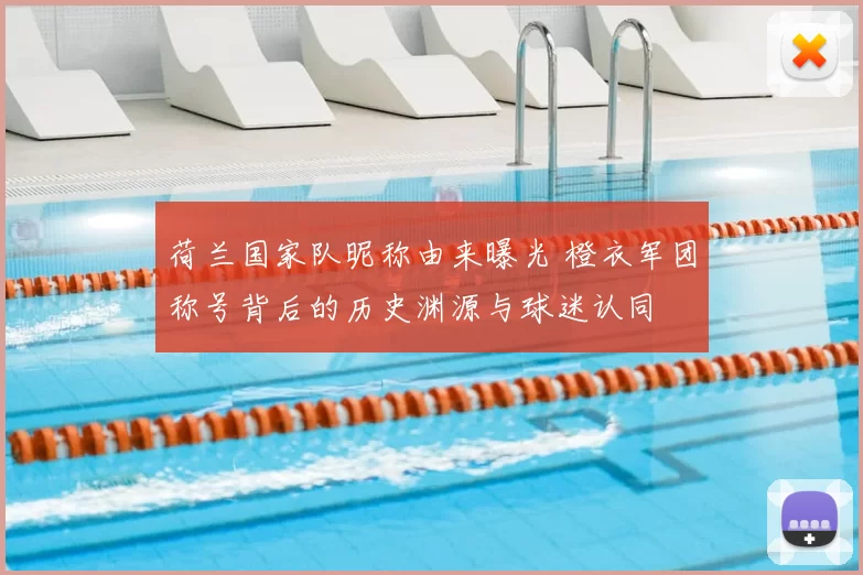 荷兰国家队昵称由来曝光 橙衣军团称号背后的历史渊源与球迷认同