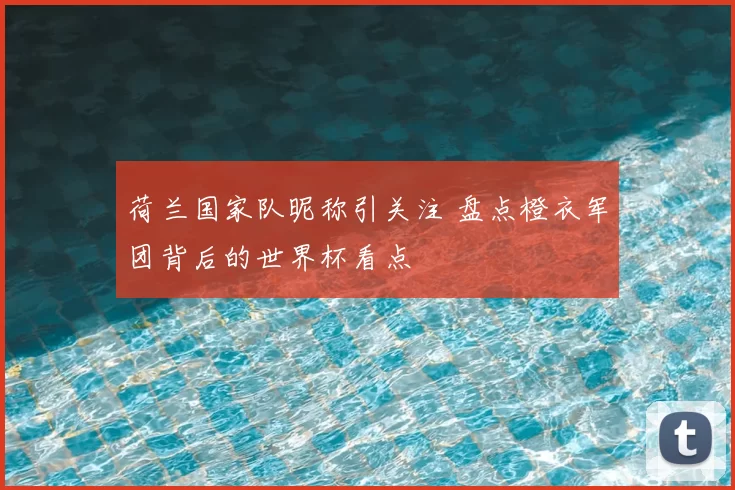 荷兰国家队昵称引关注 盘点橙衣军团背后的世界杯看点