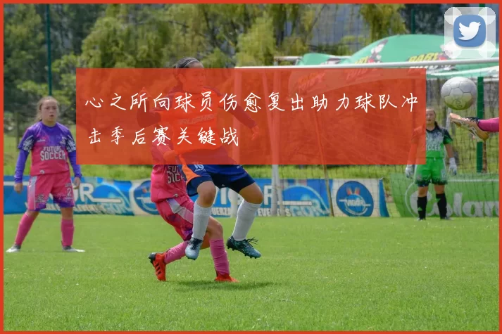 心之所向球员伤愈复出助力球队冲击季后赛关键战
