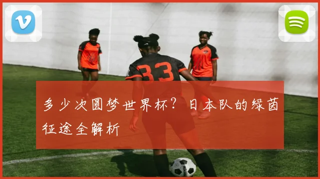 多少次圆梦世界杯？日本队的绿茵征途全解析