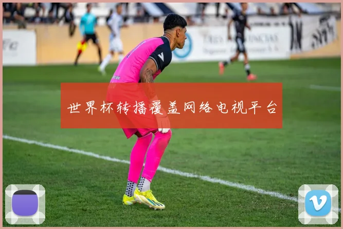 世界杯转播覆盖网络电视平台