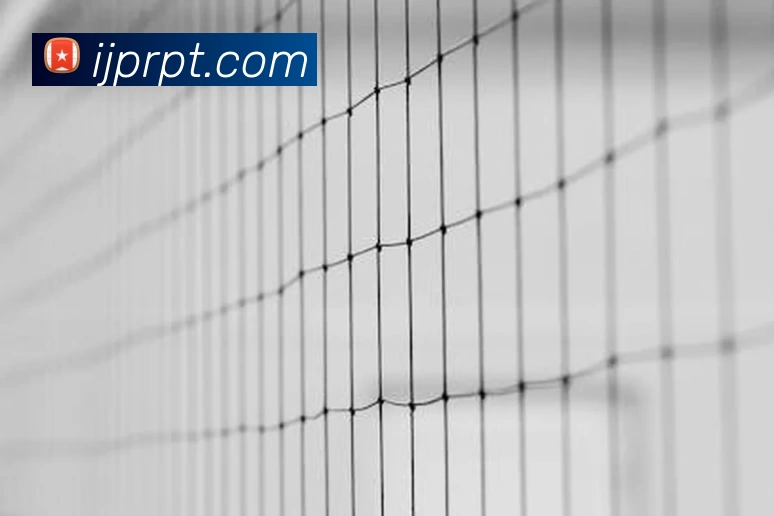 滚球买球的app官网APP 高清赛事图